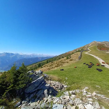 Bernadette Маутерндорф