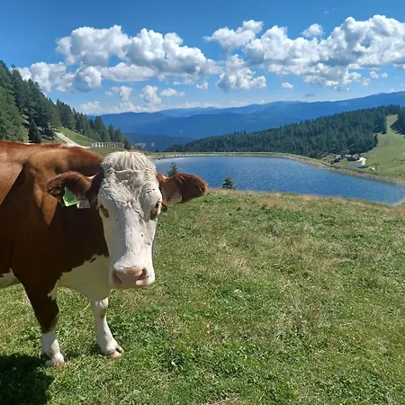 Prázdninový dům Bernadette *