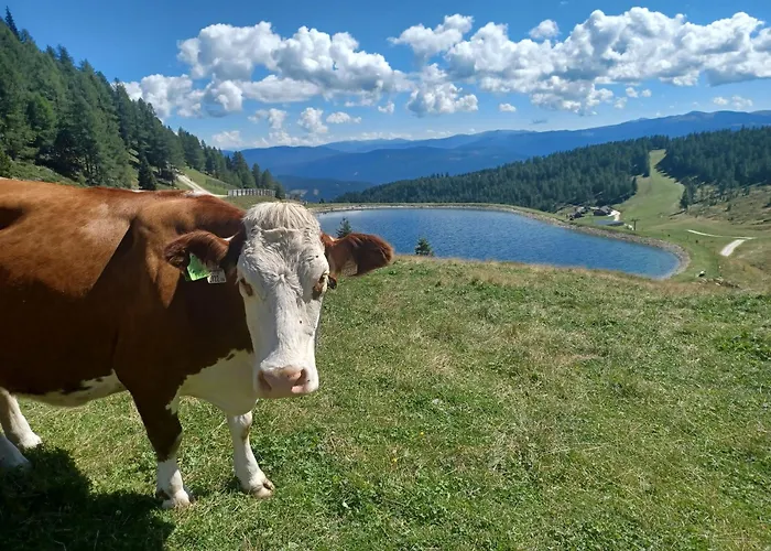 Casa vacanze Bernadette *